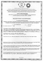 Экспертное заключение